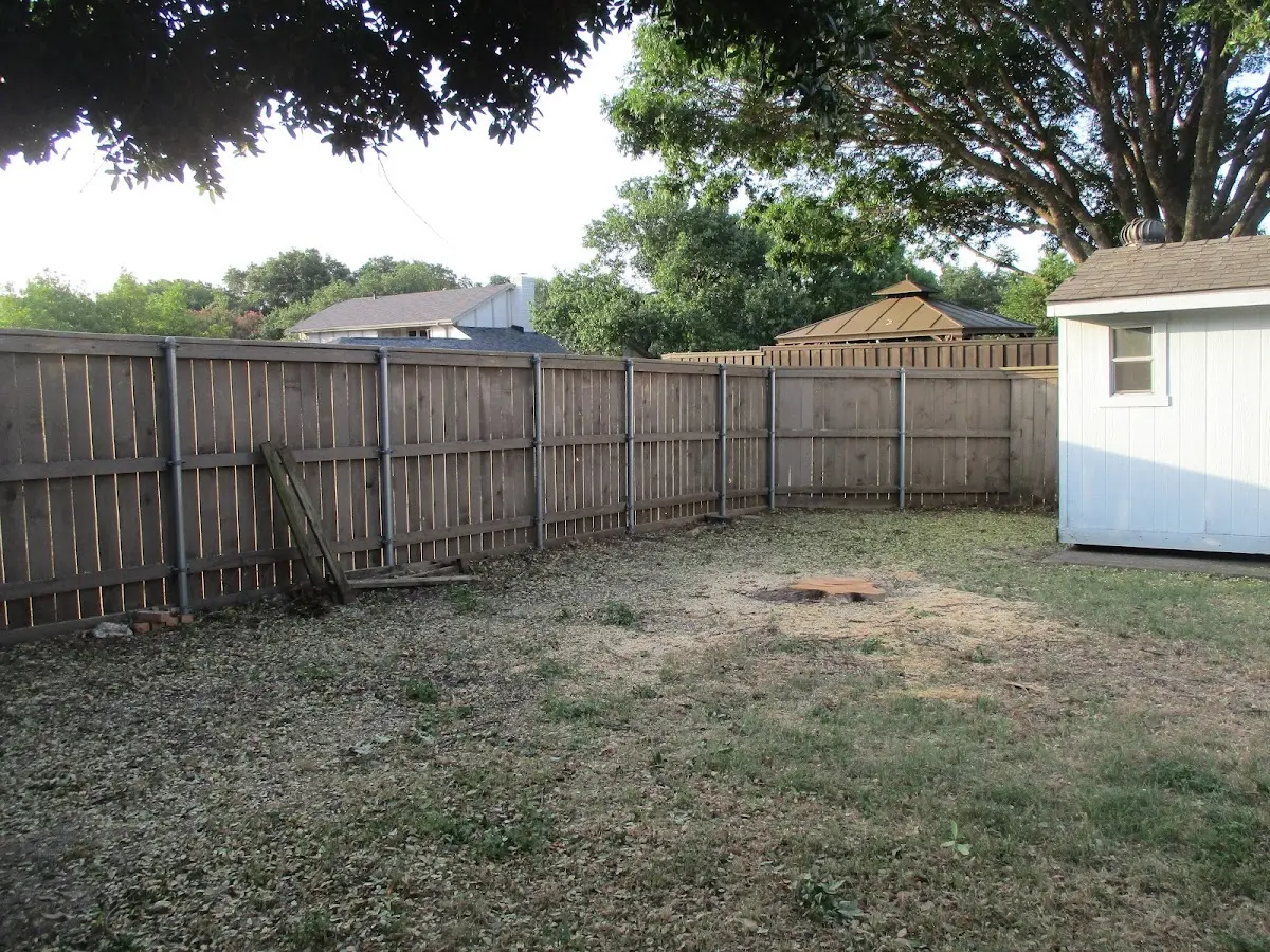 Cleared yard after professional tree removal in Swanquarter